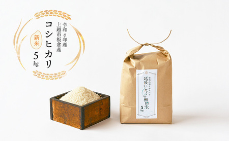 ߘa7NY Ic zsqYRVqJ 5kg  V ā@V  V Ђ  