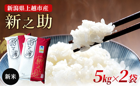 新米予約 令和7年 新潟県産新之助 10kg(5kg×2袋) 10キロ 白米 精米特別栽培米 送料無料 安全・安心しんのすけ 上越市 高橋農場