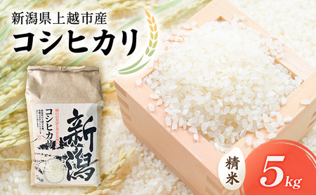 【先行予約　9月中旬より順次出荷】令和7年度産　新潟県上越市産　コシヒカリ（特別栽培米）　5kg 米 お米 こしひかり ご飯 精米 新潟 上越
