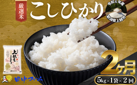 上越市産 新潟 特別米コシヒカリ 5kg 2か月定期便 上越市 精米 米 コメ こしひかり ブランド米