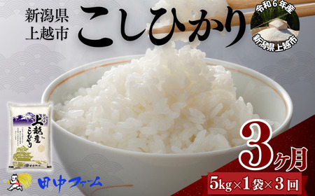 上越市産 新潟 コシヒカリ　5kg 3か月定期便  上越市 精米 米 コメ こしひかり ブランド米