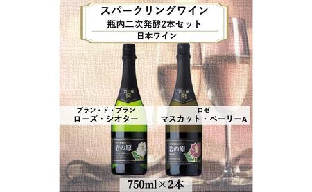 ワイン 岩の原スパークリングワイン 瓶内二次発酵2本セット (750ml) 酒 ギフト 新潟 上越