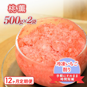 肢JO500g×2܁@12 Ⓚ C`S  ʕ t[c V