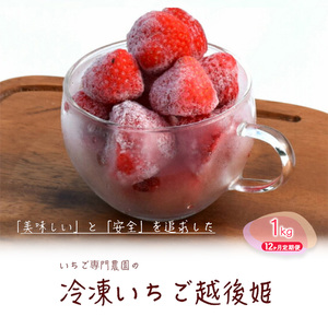 Ⓚ zP1kg 12 Ⓚ C`S  ʕ t[c  V
