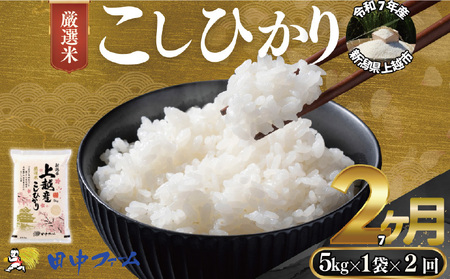 ��z�s�Y �V�� ���ʕăR�V�q�J���@5kg 2��������� ��z�s ���� �� �R�� �����Ђ��� �u�����h��