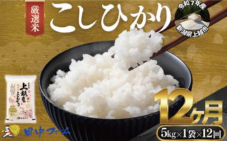 ��z�s�Y �V�� ���ʕăR�V�q�J���@5kg 12��������� ��z�s ���� �� �R�� �����Ђ��� �u�����h��