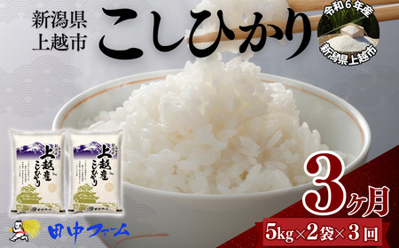上越市産 新潟 コシヒカリ　5kg×2 3か月定期便 上越市 精米 米 コメ こしひかり ブランド米