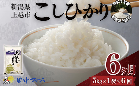 ��z�s�Y �V�� �R�V�q�J���@5kg 6��������� ��z�s ���� �� �R�� �����Ђ��� �u�����h��