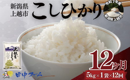 ��z�s�Y �V�� �R�V�q�J���@5kg 12��������� ��z�s ���� �� �R�� �����Ђ��� �u�����h��