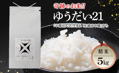 V ߘa7N VzsY 䂤21 5kg 5L Ղ̂ Fs{w܂  ܂ӂ[ 