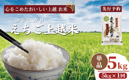 [先行予約]令和7年 新米 新潟県産コシヒカリ えちご上越米 5kg 新潟 米 新潟県 こしひかり 限定 おすすめ