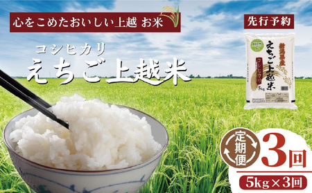 [先行予約]令和7年 新米 新潟県産コシヒカリ えちご上越米 定期便 [3ヶ月連続お届け]5kg×3回 15kg 新潟 米 新潟県 こしひかり 限定 おすすめ
