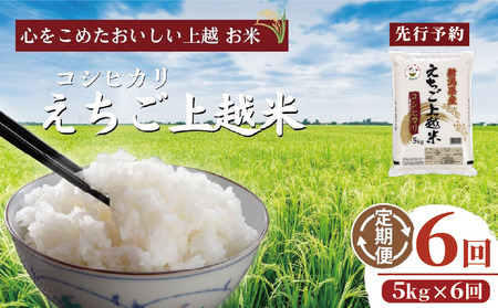 【先行予約】令和7年 新米 新潟県産コシヒカリ えちご上越米　定期便 【6ヶ月連続お届け】5kg×6回 30kg 新潟 米 新潟県 こしひかり 限定 おすすめ