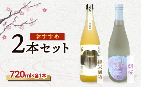 [おすすめ2本セット]朝桜|純米梅酒 日本酒 梅酒