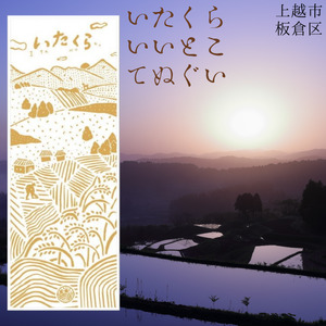 いたくらいいとこてぬぐい(黄色)手ぬぐい お土産 上越市 雑貨 タオル