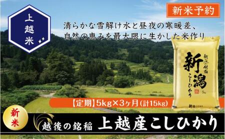 令和7年産 先行予約 新潟県上越産こしひかり 精米 5kg 3か月定期便 上越市 米 コメ コシヒカリ