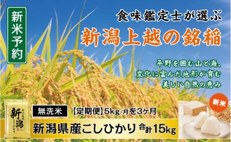 令和7年産 先行予約 食味鑑定士厳選 新潟県産こしひかり 無洗米 5kg 3か月定期便 上越市 米 コメ コシヒカリ