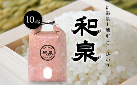 新米予約 令和7年 新潟県産コシヒカリ 10kg 10キロ 上越産こしひかり『和泉』株式会社ワイズファーム 白米 精米 送料無料 喜ばれるギフト