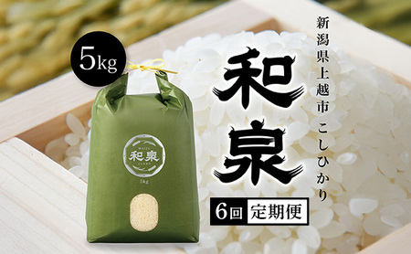 [先行予約 10月中旬より順次出荷]令和7年産 上越産こしひかり『和泉』5kg 6回定期便 上越市 精米 米 ギフト 喜ばれる