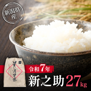 ys\10{菇oׁzߘa7N VY VV 27kg zs V  ]i  