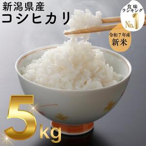 令和7年度産 上越市産コシヒカリ 5kg 新米 精米 新潟 米 新潟県 こしひかり 限定 おすすめ