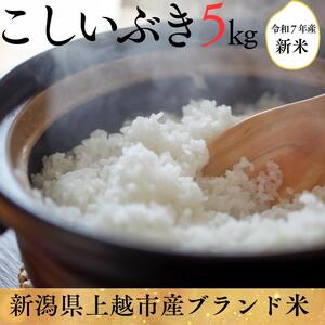 令和7年度産 上越市産こしいぶき 5kg 新米 精米 新潟 米 新潟県 こしいぶき 限定 おすすめ
