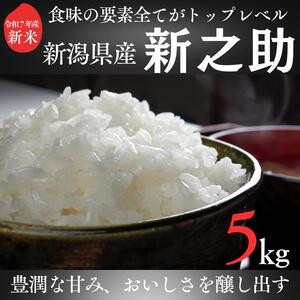 令和7年度産 上越市産新之助 5kg 新米 精米 新潟 米 新潟県 新之助 限定 おすすめ