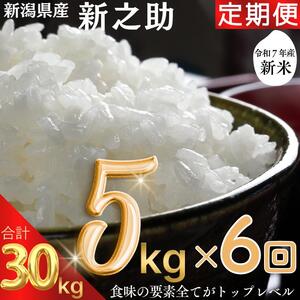 新米予約 令和7年 新潟県産新之助 30kg (5kg×6回)30キロ 定期便 (毎月発送)上越市 米ヴィレッジさんわ 自社精米 米 白米 送料無料 限定 先行予約 送料無料