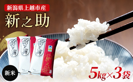 ys\ 10{菇oׁzVzsY ʍ͔| VV ߘa7NY 15kgi5kg×3)  ɂ
