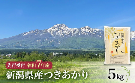 [先行予約 令和7年産 つきあかり]10月中旬より順次発送 新潟県産つきあかり 5kg 上越市 米 こめ コメ お取り寄せ