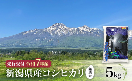 [先行予約 令和7年産 | 無洗米 コシヒカリ]10月中旬より順次発送 無洗米 新潟県産コシヒカリ 5kg 上越市 米 こめ コメ お取り寄せ
