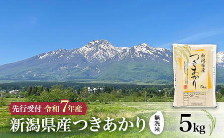 [先行予約 令和7年産 | 無洗米 つきあかり]10月中旬より順次発送 無洗米 新潟県産つきあかり 5kg 上越市 米 こめ コメ お取り寄せ