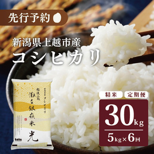 ߘa7NY VzsY RVqJ Ic u嗧 v 5kg 6 zs   R uh