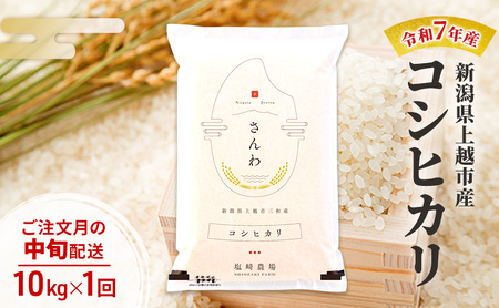 ߘa7NY V zsY RVqJ10kg  ̒{z