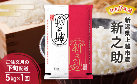 [10月より順次出荷※下旬配送]令和7年産 新潟県 上越市産 新之助 5kg 白米