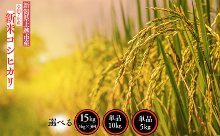 [定期便 | 3回配送]新米 令和7年産 新潟県 上越市産 コシヒカリ 5kg×3回 5キロ 精米 10月下旬より順次出荷 3ヶ月 米 お米 白米 お楽しみ