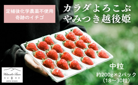 [先行予約 | 2026年4月中旬より出荷開始]いちご 中粒 カラダよろこぶ やみつき 越後姫 約200g×2パック (18〜30粒入り) イチゴ 苺 上越市 新潟