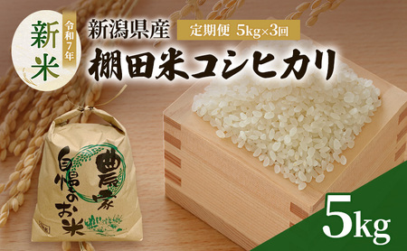 定期便5kg×3袋(計15kg)新米 令和7年 新潟県産 棚田米 コシヒカリ 5kg 5キロ 米 上越市 清里区 厳選 こしひかり 白米 精米