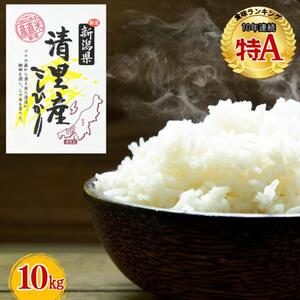 �y1�����{�z���z�ߘa7�N�Y�@�V���� �����Y�R�V�q�J�� 10kg ��z�s�@���ā@���߁@�V�� �V�����Y ��z