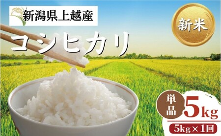 [令和8年11月配送]先行予約 新米 新潟上越産 コシヒカリ 5kg 新潟 米 新潟県 こしひかり 限定