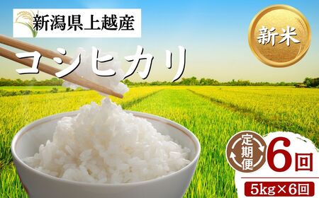 【先行予約】令和8年 新米 新潟上越産コシヒカリ 定期便 【6ヶ月連続お届け】5kg×6回 30kg 新潟 米 新潟県 こしひかり 限定 おすすめ