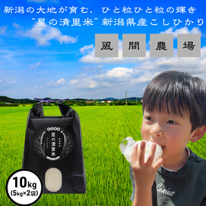 �V�� �ߘa7�N �V������z�s�Y �]�� �R�V�q�J�� ���č�10kg�i5kg×2�܁j 10�L�� �����Ђ��� ���� �� ���� ��������