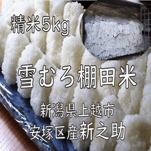 �ߘa7�N �V�����Y �I�c�� �V�V�� ������ 5kg 5�L�� �ᒆ���� ��ނ� ����̂��� ���� ���� ���� �V�� ��z �� ��������