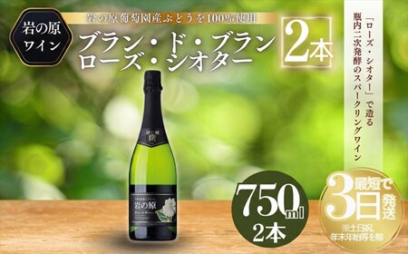 ワイン 岩の原スパークリングワイン 白 瓶内二次発酵 2本 (750ml) お酒 岩の原 酒 新潟 上越 最短3日で発送