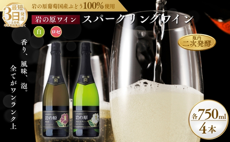 ワイン 岩の原スパークリングワイン 白 ロゼ 瓶内二次発酵 4本セット (白×2本、ロゼ×2本 各750ml) お酒 岩の原 酒 新潟 上越 最短3日で発送