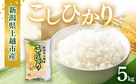 令和7年産 新潟県上越市産 コシヒカリ 5kg 5キロ こしひかり お米 精米 ご飯 上越市 アグリサポータークリモト