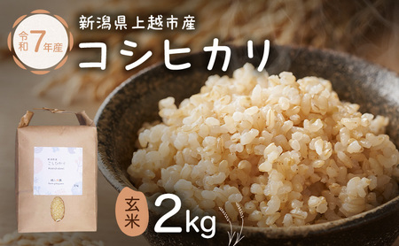 新潟県特別栽培農作物 玄米 新潟県上越市産 横山農園 コシヒカリ 令和7年産 2kg(2kg×1袋)こしひかり お米 ご飯 送料無料