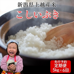 令和8年産 先行予約 上越市産こしいぶき 5kg×6回定期便 新米 精米 新潟 米 新潟県 こしいぶき 限定 定期便 おすすめ 米ヴィレッジさんわ