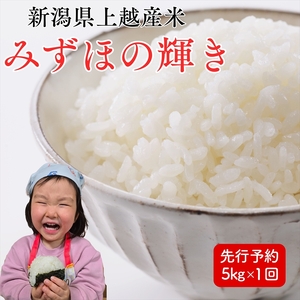 令和8年産 先行予約 上越市産みずほの輝き 5kg 新米 精米 新潟 米 新潟県 みずほの輝き 限定 おすすめ 米ヴィレッジさんわ