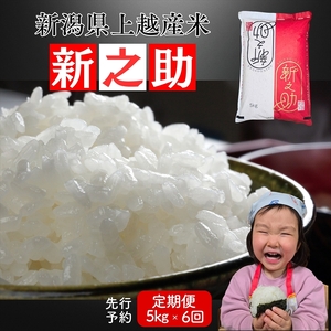 令和8年産 先行予約 上越市産新之助 5kg×6回定期便 新米 精米 新潟 米 新潟県 限定 定期便 おすすめ 米ヴィレッジさんわ